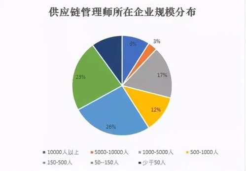 供应链管理师 现代商业的“幕后指挥官”与配套服务生态